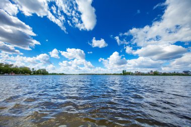 Resimli orman ve nehir.