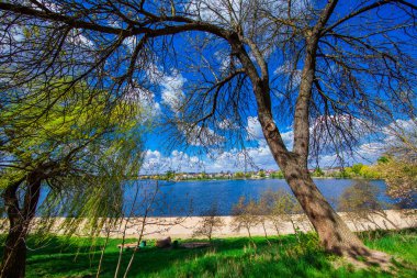 Resimli orman ve nehir.