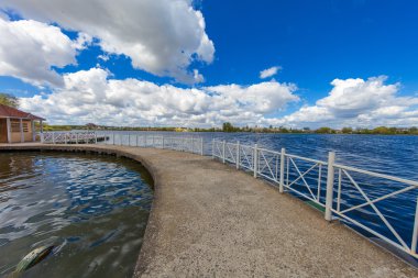 Resimli orman ve nehir.