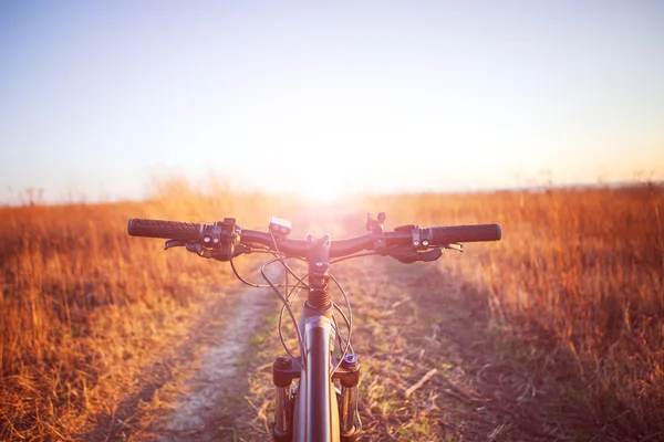 Montanha de bicicleta descendo colina — Fotografia de Stock