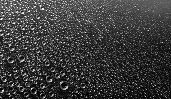 Drops of water  on  black background — Stock Photo, Image