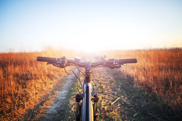 Mountain biking down hill — Stock Photo, Image