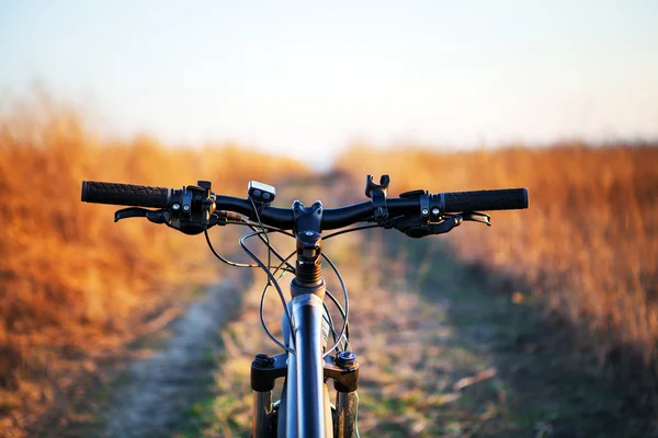 Montanha de bicicleta descendo colina — Fotografia de Stock