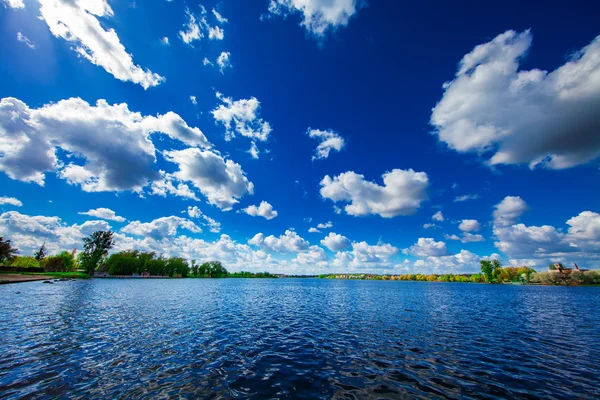 Malerischer Wald und der Fluss — Stockfoto