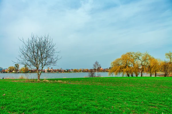 Gepflügtes Feld und bewölkter Himmel — Stockfoto