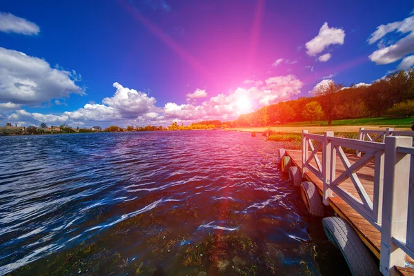 Foresta pittoresca e il fiume — Foto Stock