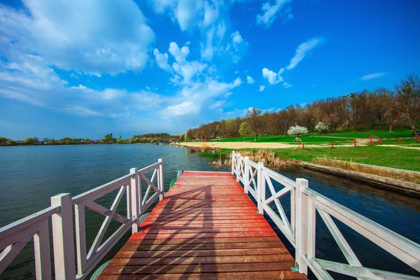 Picturesque forest and the river — Stock Photo, Image