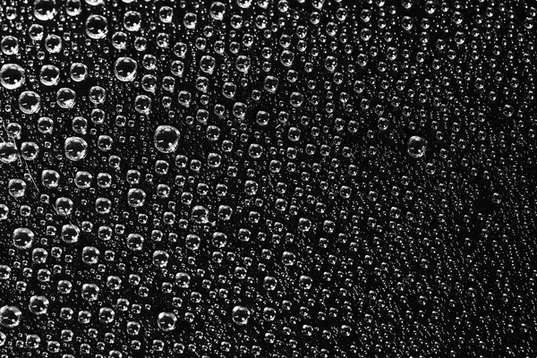 Drops of water  on  black background — Stock Photo, Image