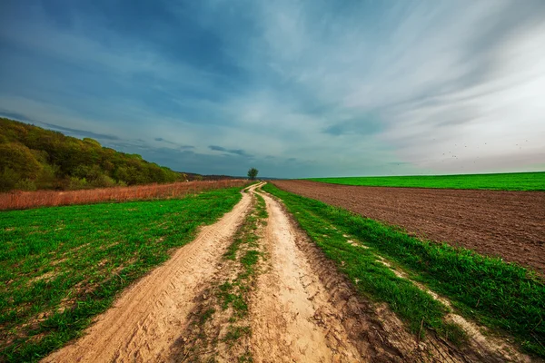 Plöjde fältet och mulen himmel — Stockfoto