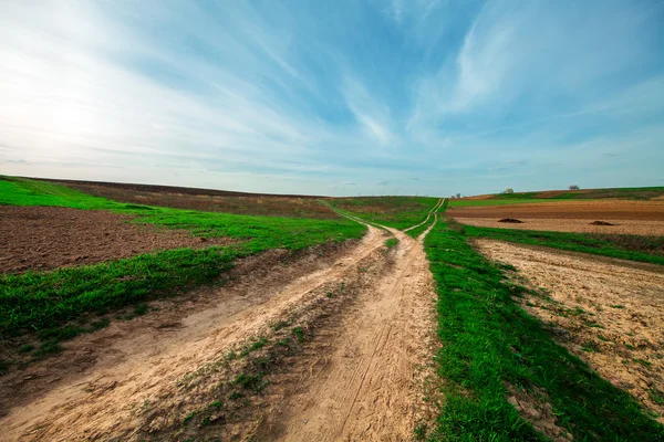 Plowed field and cloudy sky — Stock Photo, Image