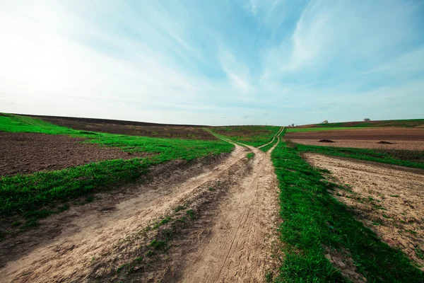 Green Field and Beautiful Sunset — Stock Photo, Image