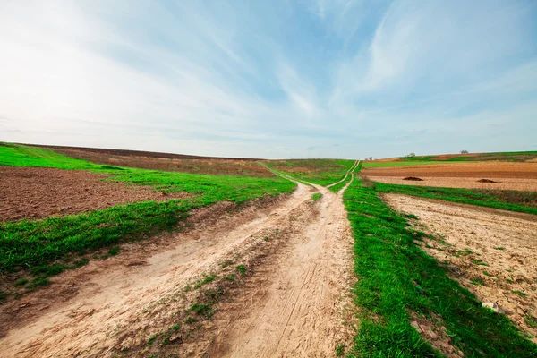 Green Field and Beautiful Sunset — Stock Photo, Image