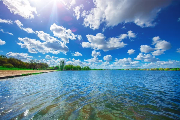 Picturesque forest and the river — Stock Photo, Image