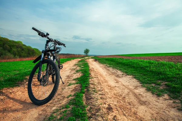 Mountainbiken bergab Stockbild