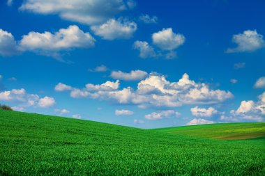 Yeşil Alan ve Güzel Gün Batımı