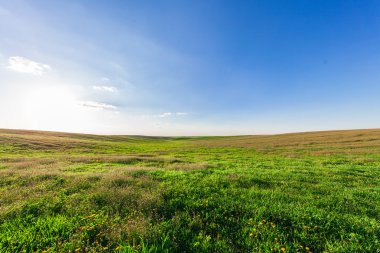 Yeşil Alan ve Güzel Gün Batımı