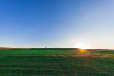 Yeşil Alan ve Güzel Gün Batımı