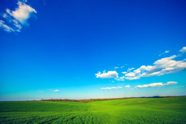 Yeşil Alan ve Güzel Gün Batımı