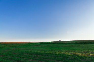 Yeşil Alan ve Güzel Gün Batımı