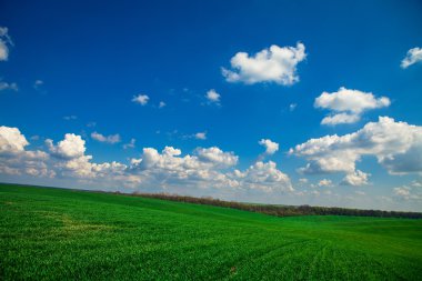 Yeşil Alan ve Güzel Gün Batımı