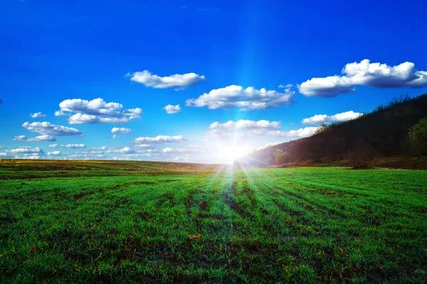 Campo verde e belo pôr do sol — Fotografia de Stock