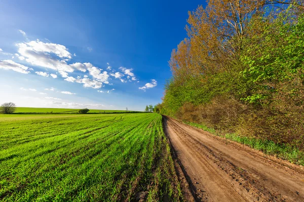 Grüne Wiese und schöner Sonnenuntergang — Stockfoto