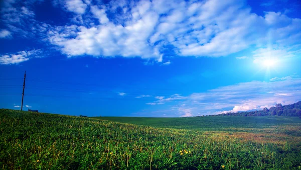 Campo verde e belo pôr do sol — Fotografia de Stock