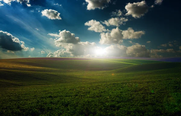 Green Field and Beautiful Sunset — Stock Photo, Image