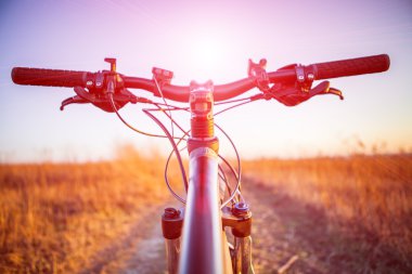 dağ bisikleti tepeden aşağı