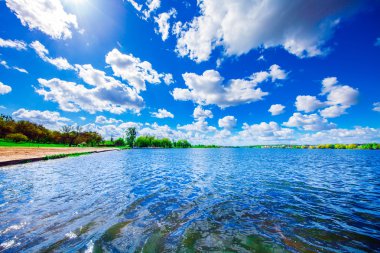 Resimli orman ve nehir.