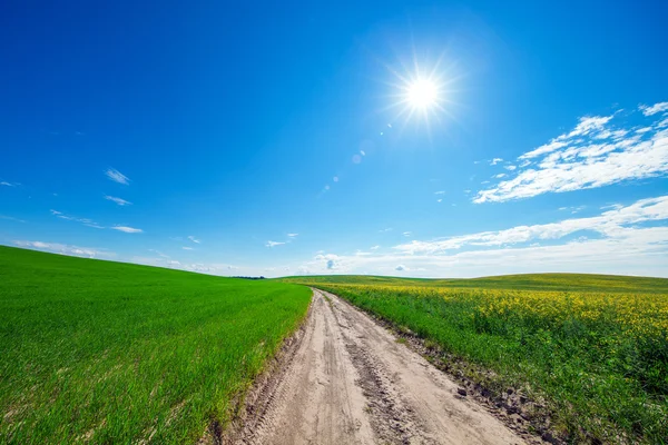 Sommerfeldansicht — Stockfoto