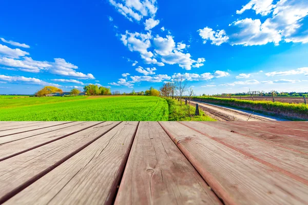 Grünes Feld unter blauem Himmel. — Stockfoto