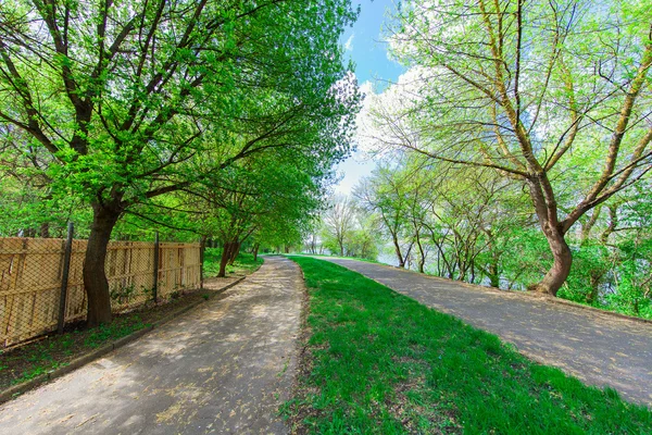 Bellissimo viale nel parco — Foto Stock