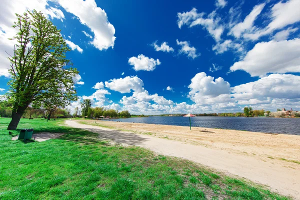 Foresta pittoresca e il fiume — Foto Stock