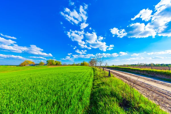 Vista de campo de verão — Fotografia de Stock