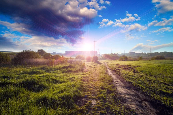 Feld mit schönem Sonnenuntergang — Stockfoto