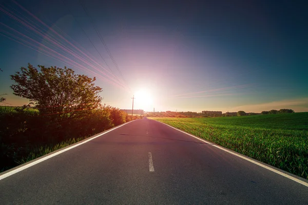 Camino de asfalto cerca de campos — Foto de Stock