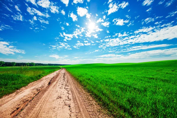 Pfad im grünen Feld — Stockfoto