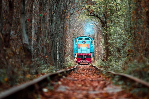 love tunnel in autumn. Railway and tunnel from trees