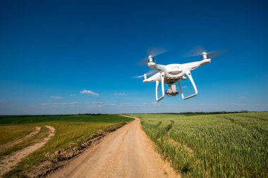 Yeşil mısır tarlasında İHA kuadkopteri