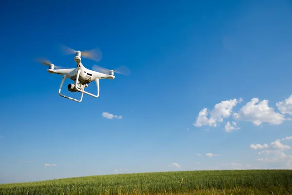 Quadricóptero Drone Campo Milho Verde — Fotografia de Stock