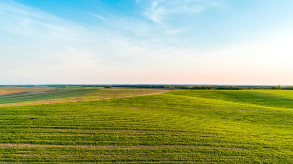 Green Field Beautiful Sunse — Stock Photo, Image