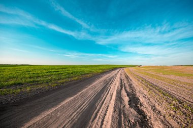 Yeşil Alan ve Güzel Güneş