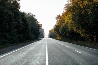 Hız otoyolu tarladan geçiyor. asfalt kaplı yol