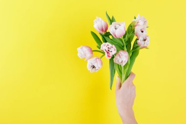 Sarı arka planda kırmızı lale buketi. Paskalya ve bahar tebrik kartı Kadın Günü konsepti Metin için Boşluğu Kopyala. 