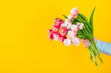 Sarı arka planda kırmızı lale buketi. Paskalya ve bahar tebrik kartı Kadın Günü konsepti Metin için Boşluğu Kopyala. 