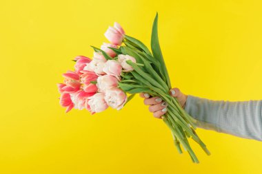 Sarı arka planda kırmızı lale buketi. Paskalya ve bahar tebrik kartı Kadın Günü konsepti Metin için Boşluğu Kopyala. 