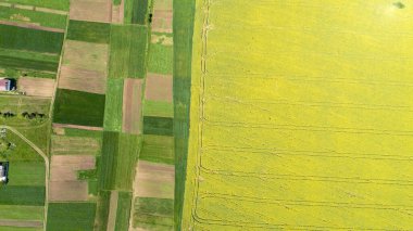 Yeşil alan gün batımında İHA ile çekilecek.