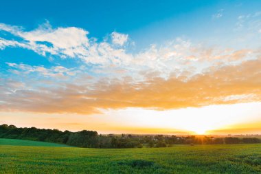 Yeşil Alan ve Güzel Gün Batımı
