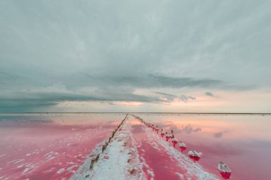 Pembe göl ve kumlu sahil manzaralı.